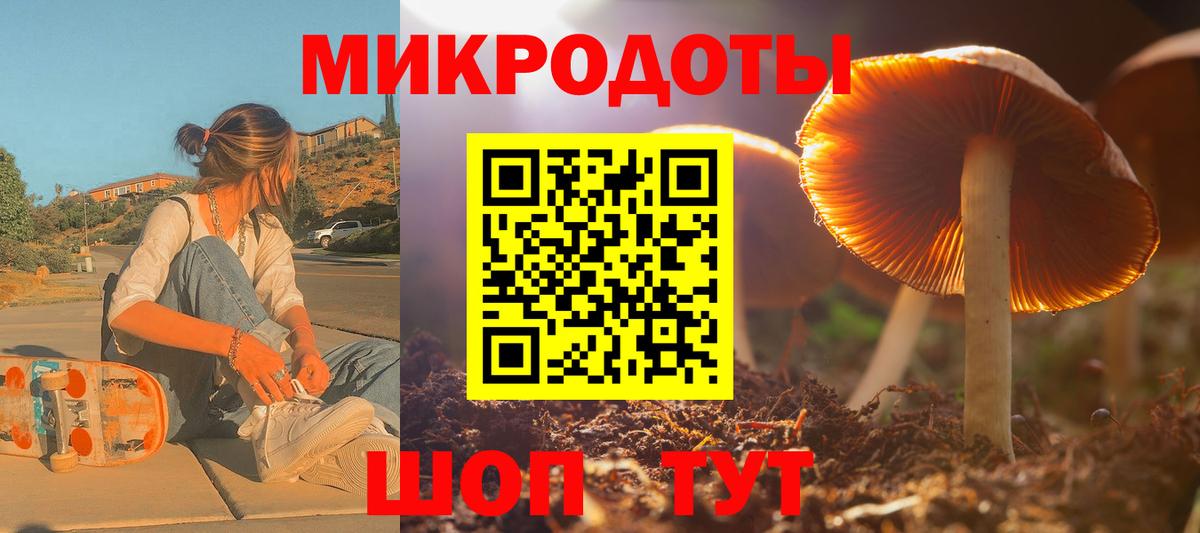 Псилоцибиновые грибы Psilocybine cubensis  Вход с VPN  Гусев 